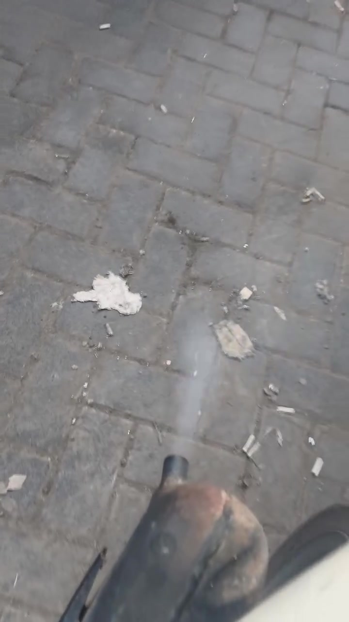 دولفين • السماوه