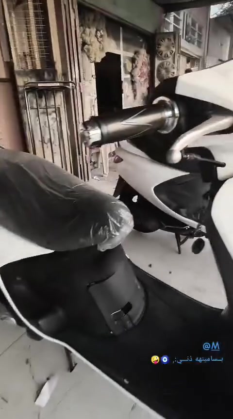 فراشة • ثنين • فحل