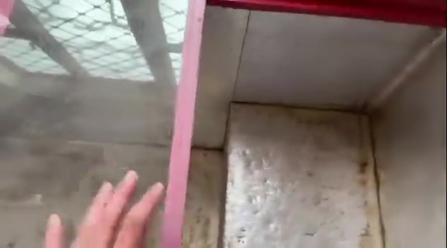 ثلاجة ١٠ قدم • بطحية • بغداد جكوك