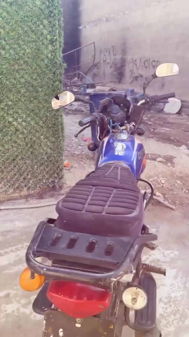بوكسر • ٢٠٢٣ • بدون اوراق