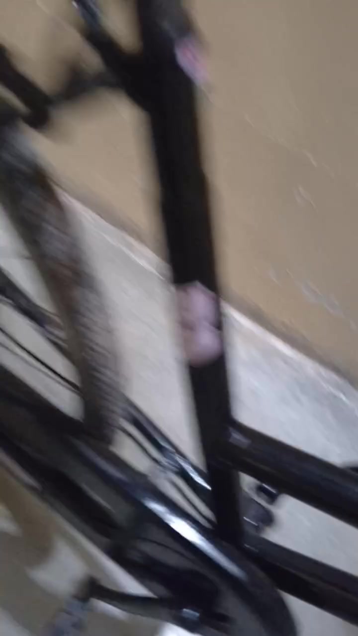 السلام عليكم بايسكل للبيع ياباني اصلي شركه BD حجم 26 لون اسود كله جديد وشغال بريكات وياله عدله وضع الشركه السعر 80بي مجال المكان كركوك واحد حزيران الرقم *********** بي واتساب

