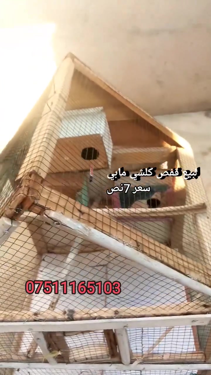 قفص لبيع كلشي مابي ولا نقص سعر 7نص ليريد يجي خاص او رقم ***********
