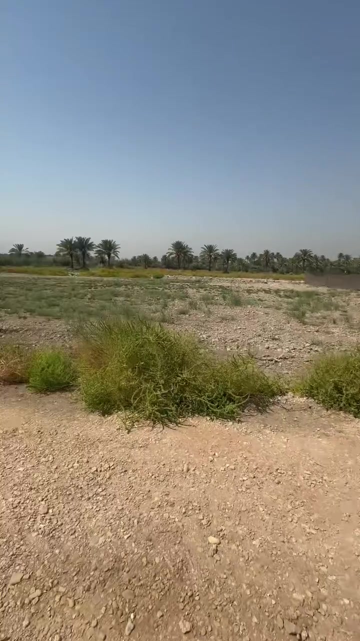 قطعه للبع
مساحه ٥٠٠م
طابو زراعي سند ٢٥
بابل ورديه داخل. قرب سيد موسى ع
‏***********
