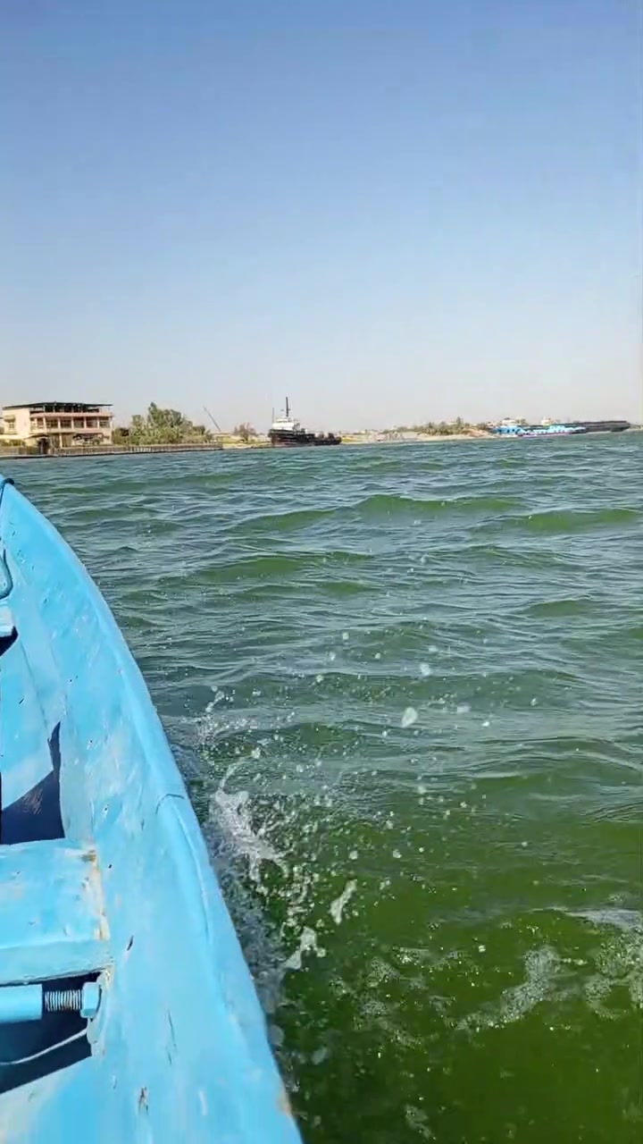 السلام عليكم عندي بلم ومكينه 5مجفته بس نضيفه جره وحده اريد ابيعها حته لو مراوس البصره ابو الخصيب محيله***********
