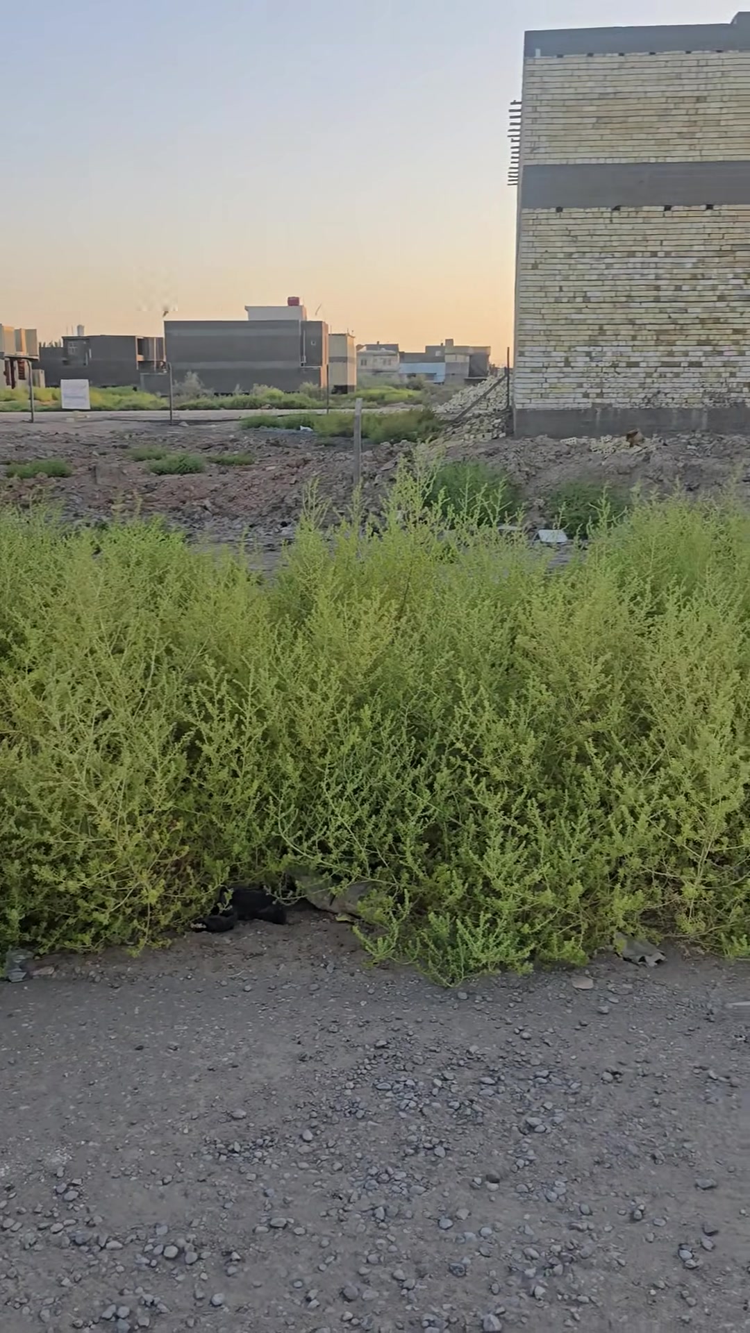 📢 قطعة أرض للبيع – موقع مميز في بابل
🏡 المساحة: 150 متر²
📍 الموقع: قرب محكمة استئناف بابل
📄 السند: طابو زراعي (سند 25)
📐 الواجهة: 10 متر
📏 النزال: 15 متر
✅ متوفرة جميع الخدمات.
✅ موقع مناسب للسكن أو الاستثمار.
📞 للاستفسار ومزيد من التفاصيل، يرجى مراجعة مكتب دار المعمار للعقار أو التواصل عبر الهاتف: ***********
