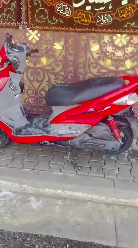 سكنس نوزل • ياباني • كفالة عام