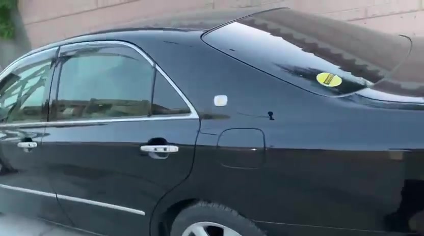 شاهينه • رقم ديالى • فول الفول