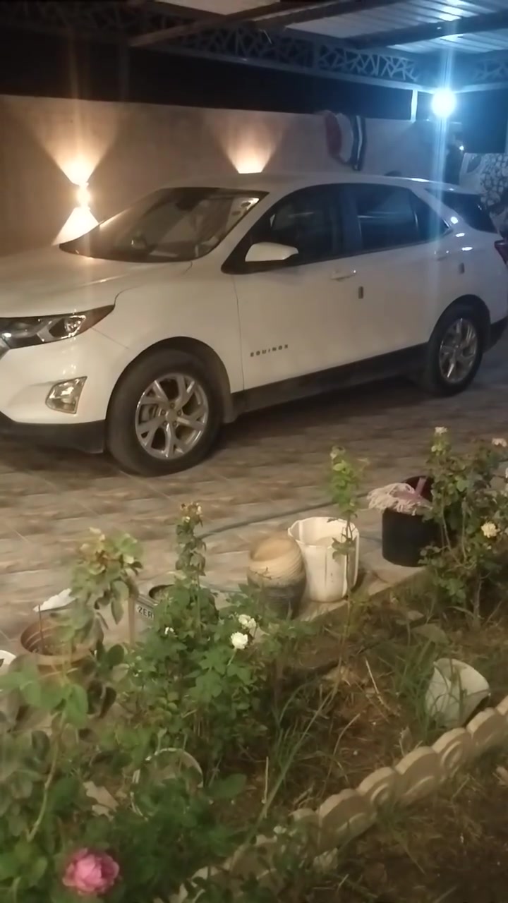 ايكنوكس • ٢٠٢١ • رقم سليمانية