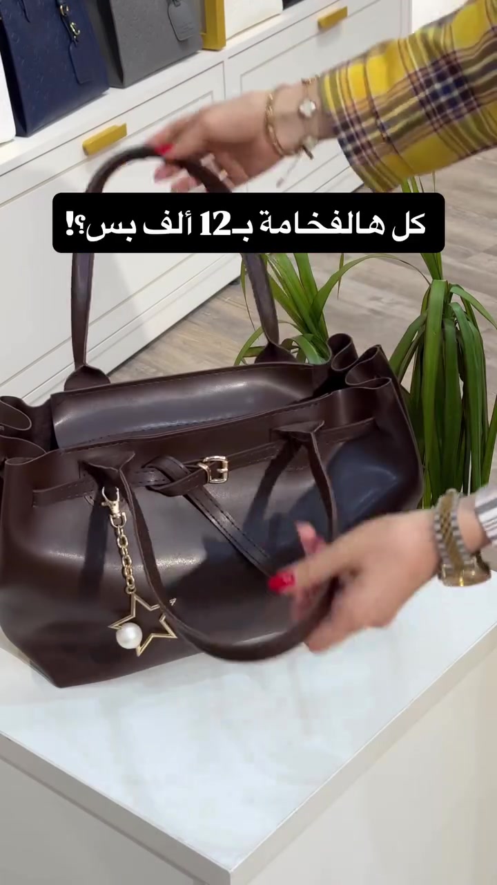 حقيبة كلاسيك • ستايل ناعم • بني