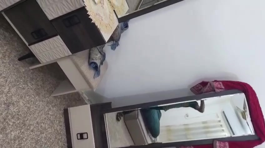 سلام عليكم غرفه تركيه نوعيه راقيه ولون مميز إلا أصحاب الذوق الرفيع
غرفه استعمال جداً بسيط خاليه من الزلغ متوفره داخل الناصريه للحجز الاستفسار مراسلتنه ع الرقم واتس إب 
(***********)
