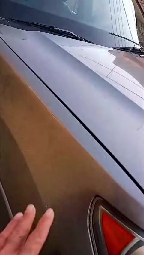 موهافي • ٢٠٠٩ • رقم بغداد