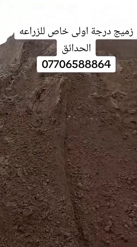 متابعينة الكرام يتوفر لدى مشتل التاجي  اجود انواع الزميج خاص للحدائق والمزراع درجه اولئ ونظيف  خالي من الاملاح والقصب/// للاستفسار والطلب *********** واتساب
