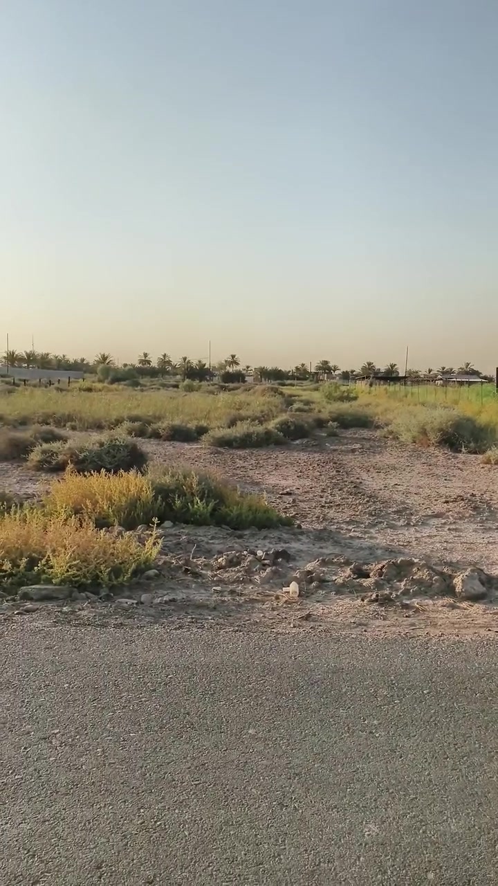 السلام عليكم
يوجد دونم طابو زراعي سند 25
الوجه24
والنزال 104
مكانه بغداد المدائن منطقة الجعاره قرب مدينه بسمايه 
خدامة كاملة من ماء وكهرباء 
الاستفسار أكثر اتصل على الرغم***********

