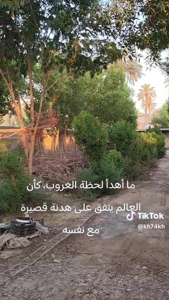 قبل الجسر الفرنسي نصف دونم ***********
