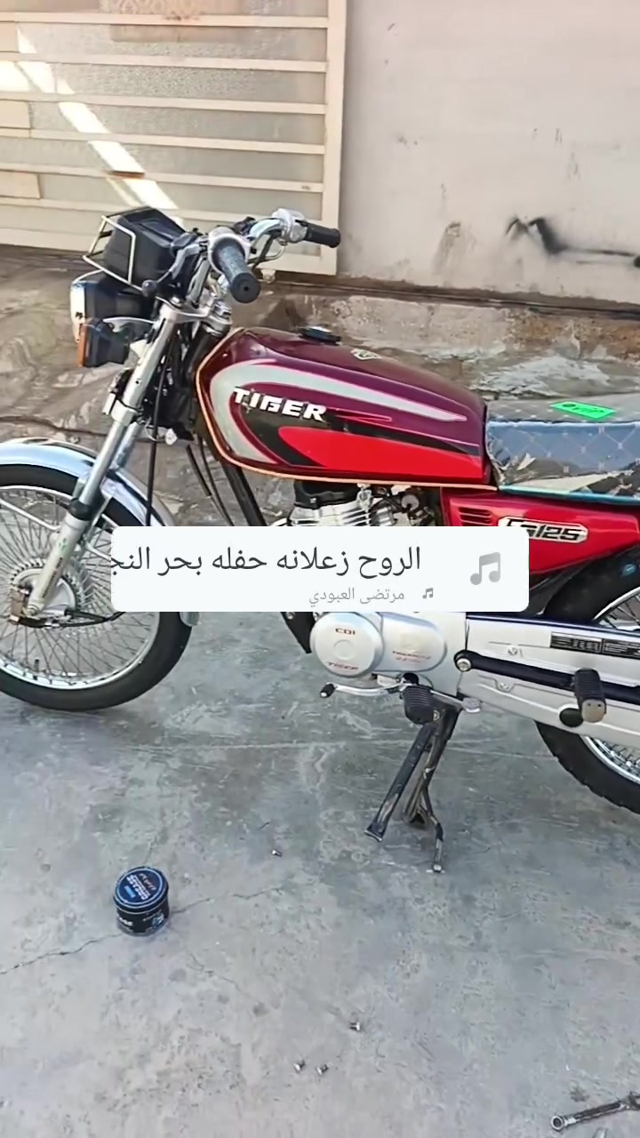 تايغر • سي جي125 • 2020