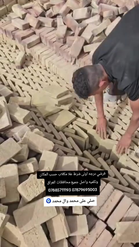 فرشي • درجة أولى • واصل جميع المحافظات
