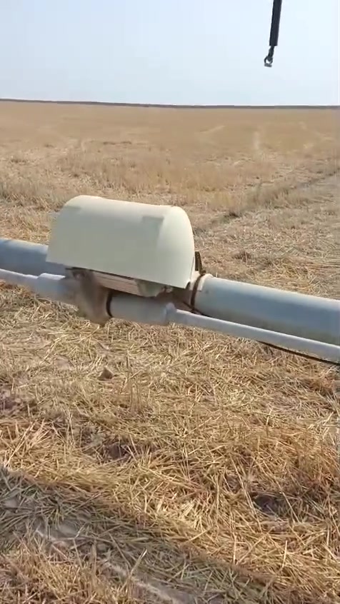 مرشه برجين خريف فرات نظافة فول وبسعر مناسب ***********مكان التاجي النباعي
