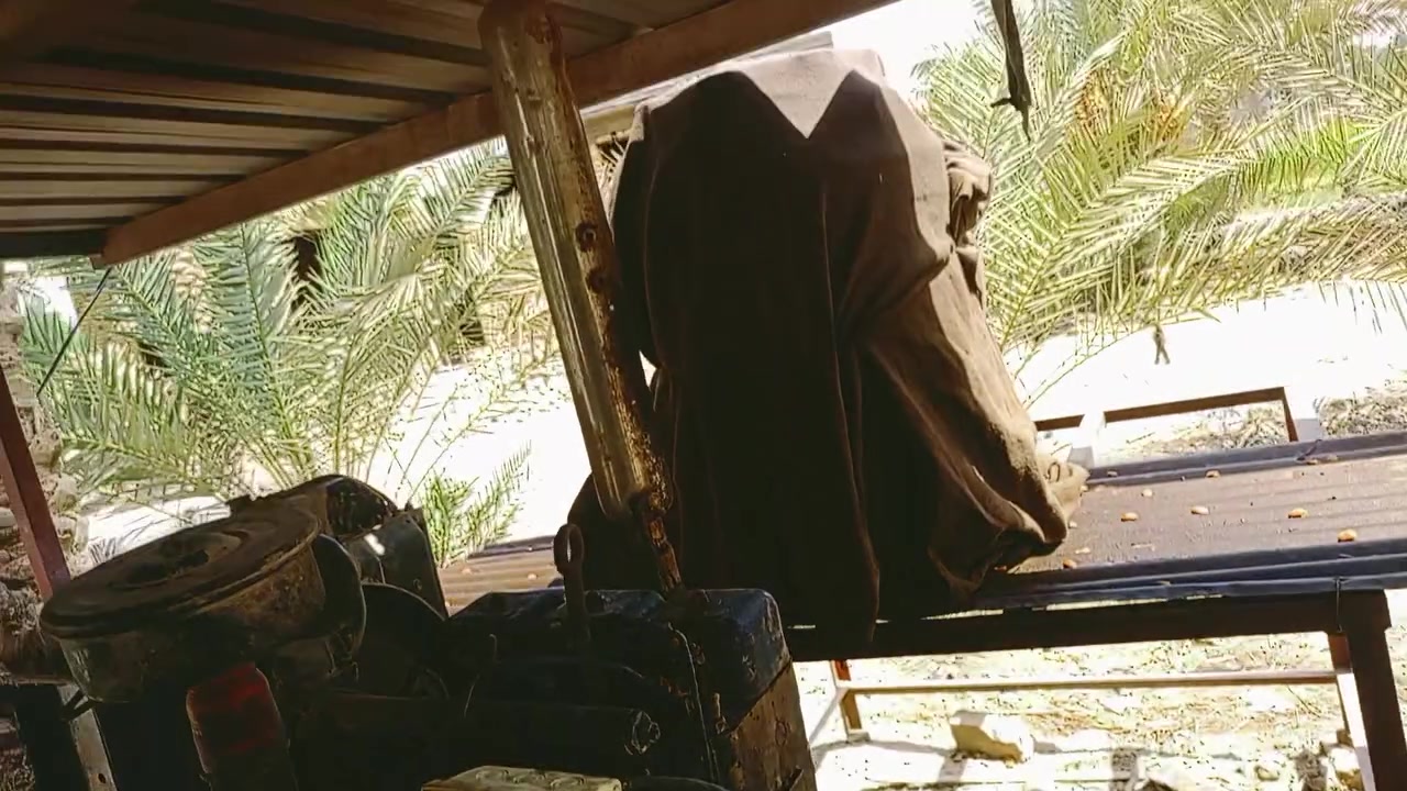 مولده كلسكار 3 بستم 30 كيفي شرط شغل مكاني بابل طريق حله كفل رقم الهاتف ***********

