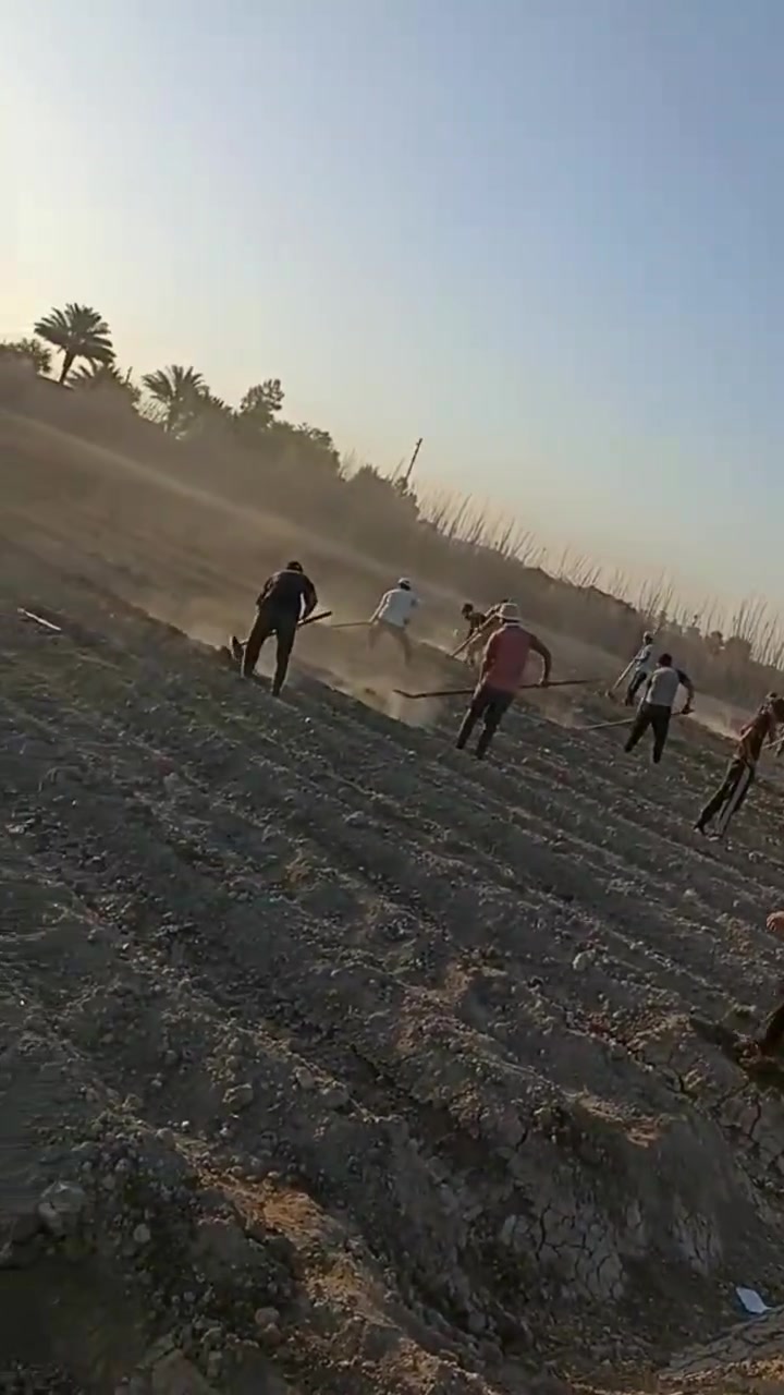 السلام عليكم العهده شتال بصل شتال خس شتال قرنابيط موجود كادر عمال شغل درجه اوله اتصل عل رقم ‏‪***********‬‏ وبيك خير ودلل

