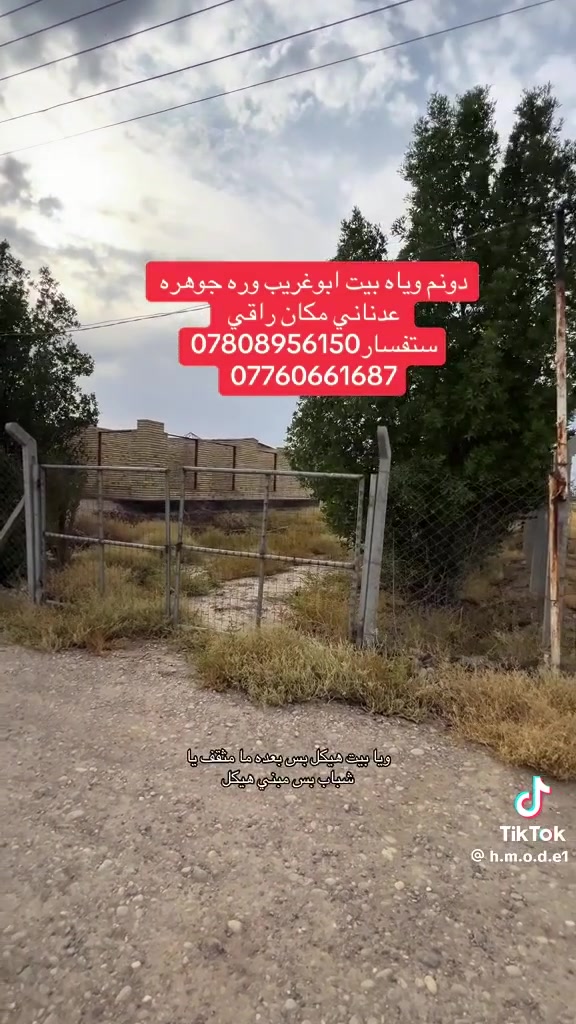 ابوغريب • جوهرة عدناني • ١٠٠٠م