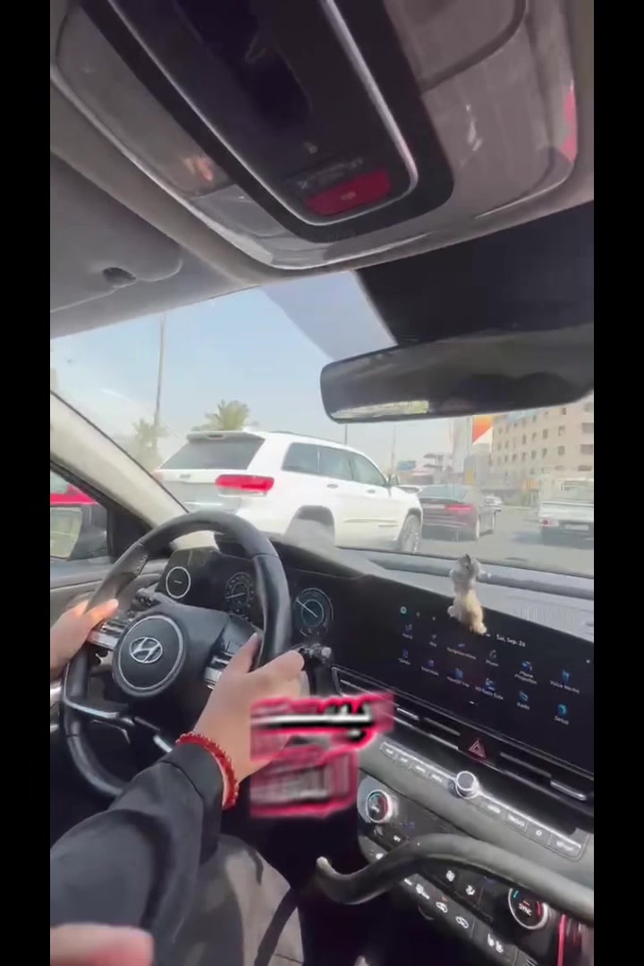 الان ويا مكتب السالي لتعليم القيادة🚗
🔥العروض الاقوى على مستوى العراق✨✅

📌كورس تعليم السياقة يشمل:
✔️القيادة داخل الافرع
✔️الطرق السريعة
✔️القيادة بالازدحامات 🚗🚗
✔️البك باركنك
✔️جميع اساسيات السياقة باحتراف
👱‍♂️كادر رجالي متميز
👩كادر نساىي محترف

🏠خدمة توصيل الكابتن يجيك للبيت ويرجعك للبيت
📍يشمل جميع مناطق بغداد(كرخ/رصافة)

للحجز والاستفسار مراسلة الصفحه او الاتصال على📞
***********