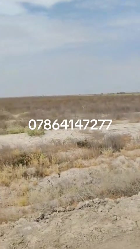 أرض • للبيع • بدون تفاصيل