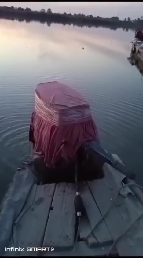 شختوره ٥٥ • مراوس • سعر خاص