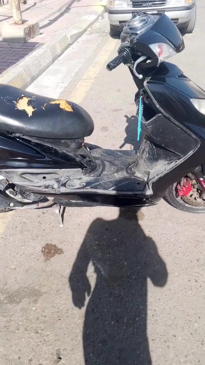السلام عليكم ورحمه الله وبركاته سكنس فحل كابريتر بوسه بلادي52 للبيع سعر500 وبيها مجال 
الاستفسار على الواتساب
***********
