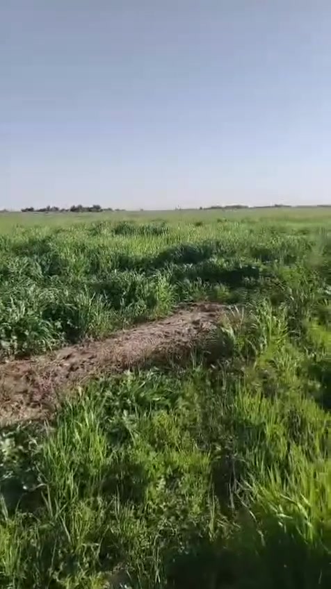 طابو زراعي • نهر الفرات • ٣٠-١٠٠٠ دونم