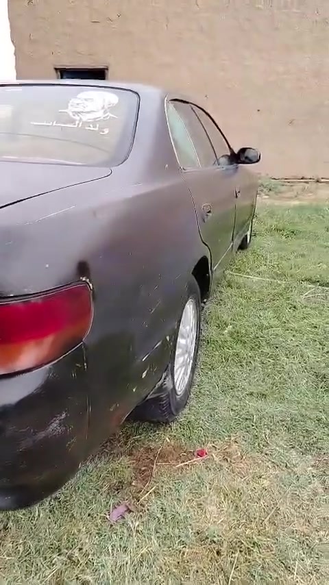 شيزر • مكينة وكير • دواخل نضيفه
