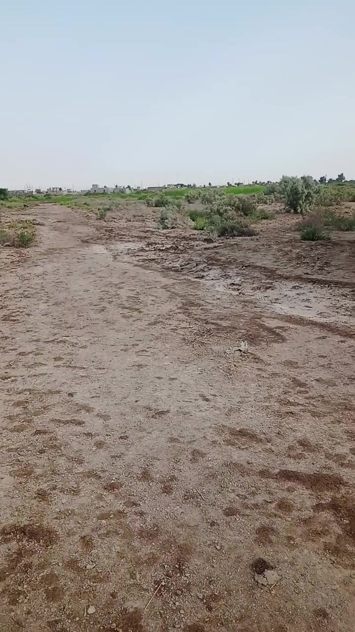 ال بريع • ٥٠٠م • ماء كهرباء مولد