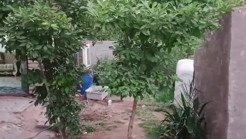 بيت البيع الورديه حي الرسول المساحه 240 الاتصال ***********
