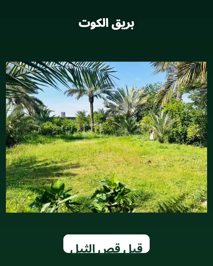حش الثيل • تنسيق الحدائق • بريق الكوت