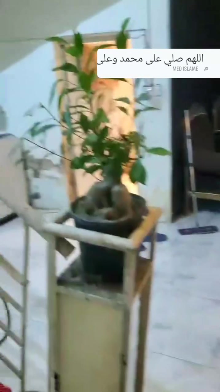 ياالله 
نعيد النشر بسبب الوعود الكاذبة 
يوجد بيت للبيع في حي الفرات قرب شارع الصب 
119م دولان بناء كامل السعر 65وبي مجال 
للاستفسار التواصل مع صاحب الدار ***********
بيع فقط 
اخي اختي الكريمة اذا تم الشراء قل من طرف مصطفى  هذه امانة عندكم
