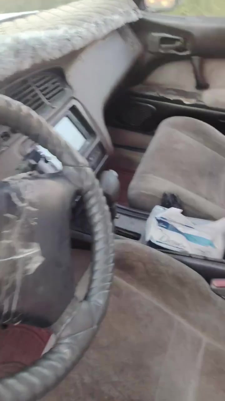 بطه مكصوص مسجلة فحص نينوئ  بيها سنويه وكالة  ماندل راعيها اكفلها دولة  وعشائر...... ***********
