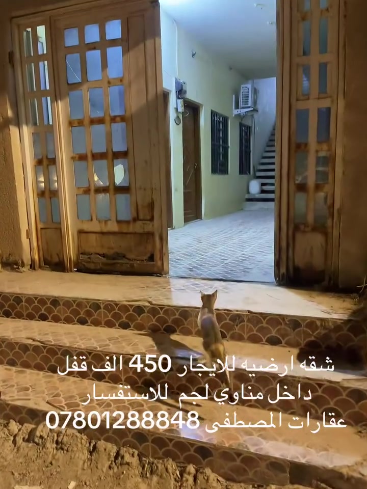 شقق للايجار • دور سكنية • مناوي لجم