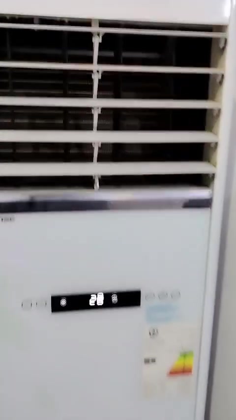 سبلت • ٢ طن • للبيع