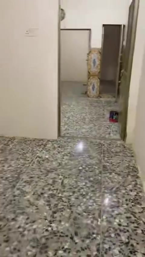 نص قطعة • ٥٥م • أمامية