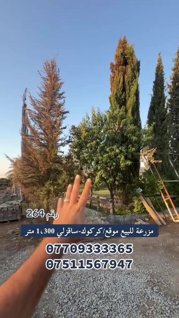 رقم 264

مزرعة للبيع موقع/كركوك-ساقزلي  نادي فروسية 
   مساحة 1،300 متر 

‏موجود ماي 🚰 و كهرباء ⚡️

‏للتفاصيل أكثر خابر أرقام الموبايل 👉🏻

/بأمكانكم زيارة مكتب (عقارات دارمان)
‏عنوان على طريق كركوك أربيل بصف مشتل محمد
للاستفسار والمزيد من المعلومات :اعجاب ومراسلة عبر الصفحة او اتصل بالارقام التالية:
‏***********
***********
***********

//اسهل واسرع طريقة لبيع و شراء عقار.... اذا لديك منزل او شقة او ملك تجاري في كافة مناطق كركوك ارسل لنا معلومات العقار والصور برسالة الى فايبر او واتس اب او اتصل على ارقامنا اعلاه

