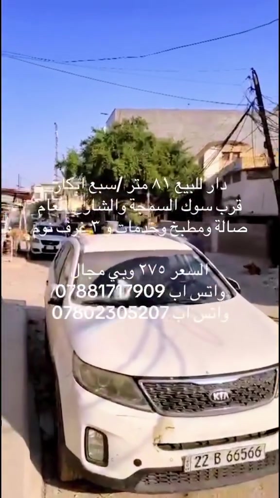 سبع ابكار • قطعة • ٨١م