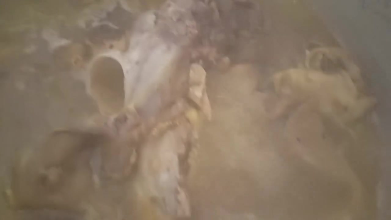 تجهيز الولائم والمناسبات
🍲 أكلات بيتية متنوعة
🎉 تجهيز حسب الطلب ولجميع المناسبات
✨ نهتم بالجودة والنظافة والطعم حتى تكون سفرتكم مميزة
📍 العنوان: الرمادي
📱 للطلب والاستفسار واتساب:
***********
👑اكلات شعبيه بنت دليم 👑
