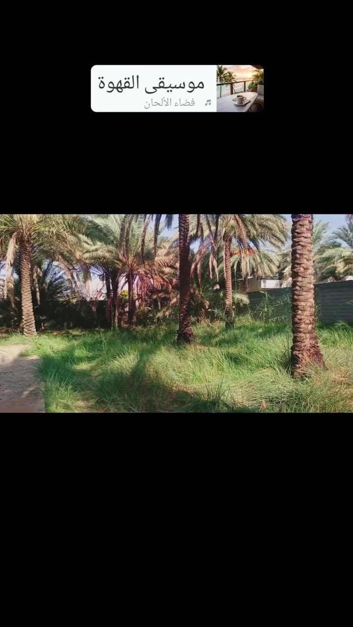ابو طحين • ١٠٠٠م • سند ٢٥
