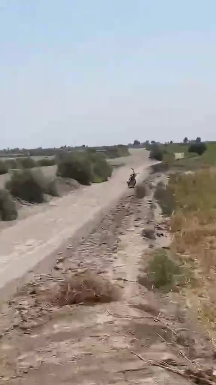 سلام عليكم كاع زراعيه للبيع دونمين ماي متوفر  الرفاعي طريق سيد أحمد قريه السهيل على التبليط للاستفسار اتصال*********** 
***********
