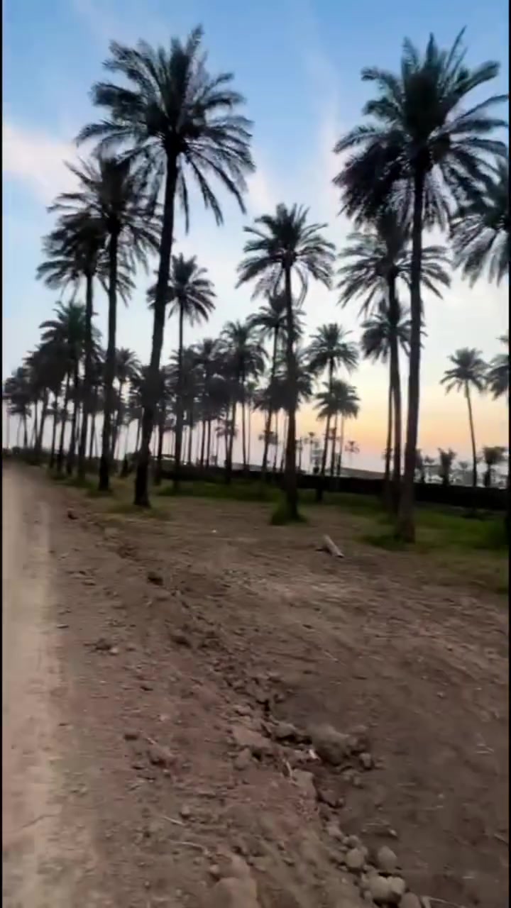 المدائن • سند ٢٥ • قرب نهر دجلة ٨٠م