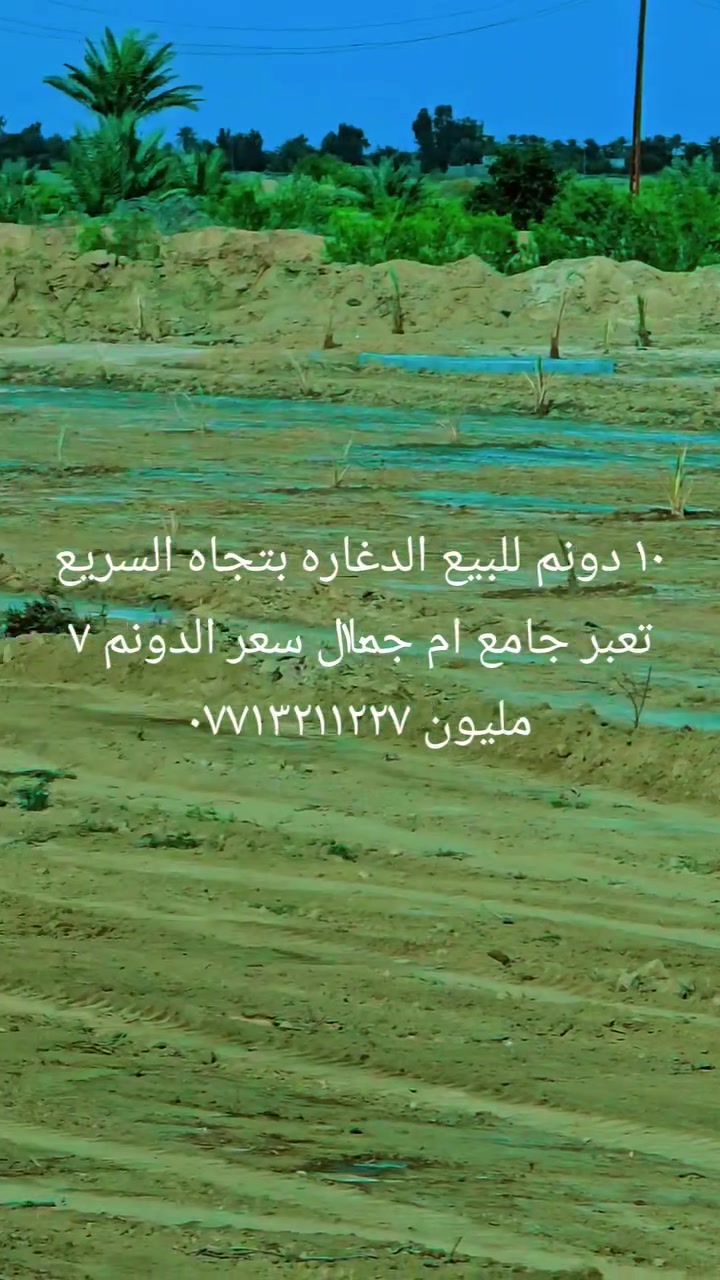 ارض زراعه للبيع المساحه ٦ دونم سعر الدونم ٦ مليون كافه الخدمات الأرض صالحه للزراعه بس متروكه تداور بسمك ٠ المدرسه تبعد عن الأرض ٤٠٠ م التبليط كيلو والكيلو مدفون من قبل الدوله ترابي جاهز للتبليط تقع على مشروع ماء متوفر شته صيف لا توجد اي مشكله قانونيه ولا عشائريه  مع مضخه ماء ١٠ حصان ٠بالنسبه للكهرباء تبعد عن الأرض ١٠٠ م ويتوفر معامله مع كافه الموافقات الطرق الاثار النفط الغاز وموفقه السكك بغداد مع موافقه  الناحيه  كامله محوله واسلك ٠ العنوان الديوانيه قضاء الدغاره بتجاه الشوملي ٠واكو طريق للكاع من السريع الدوالي مقابل مطعم قصر السلطان  ***********
