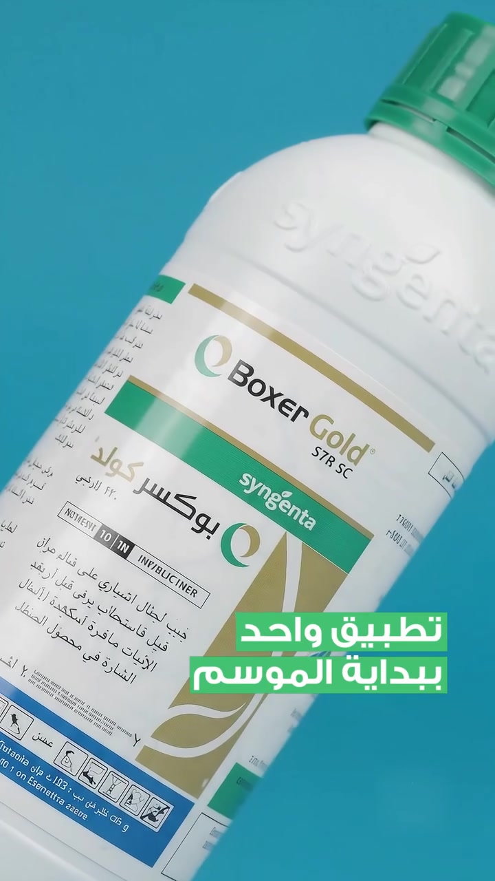بوكسر كولد • تطبيق واحد • ضد الرويطة المقاومة
