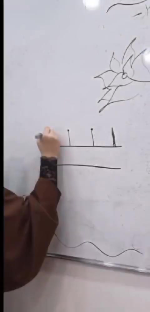 الأول الابتدائي • تمهيدي • بداية طريق ابو الماش