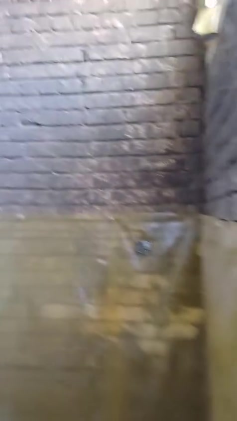 عقار للبيع 🔴🔴🤍
بيع سريع وبسعر جدا مناسببب ⚡️
دار للبيع مساحة ١٠٠ متر 
واجهة ٥ طابقين هيكل 
يحتوي طابق ارضي   غرفه نوم + صاله مفتوحه  عل مطبخ حار+ صاله  استقبال
طابق الاول  غرفتين نوم صحيات وصاله
طابق ثاني  سطحين  وبيتونه    كبيره  + مخزن صغير 
 العنوان بلديات  قرب اسواق رمانه
للتواصل والاستفسار مراسلة 
رقم هاتف ***********
