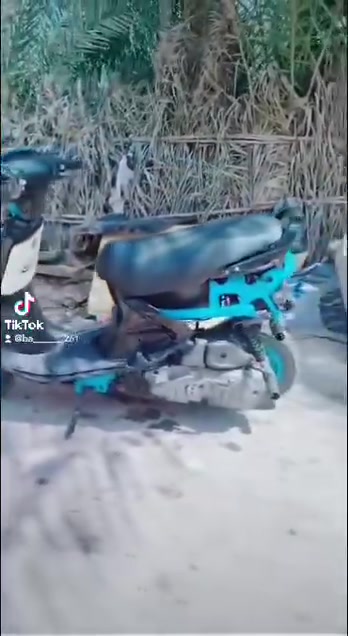 دراجه البيع فراشه فحل  كلها شغاله كهربايات   صالنصه رياضيه. دراجه مفتوحه مره وحده ودراجه شلعه بيه حلوه  

وهذا الرقم‏‪***********‬‏
او مراسله الصفحه
