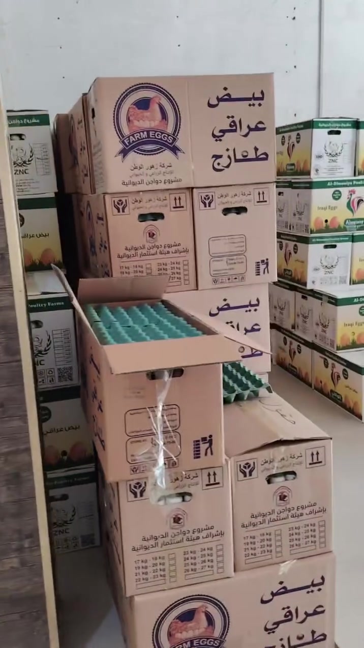 بيض حمر • بيض أبيض • وزن ٢٥-٢٧